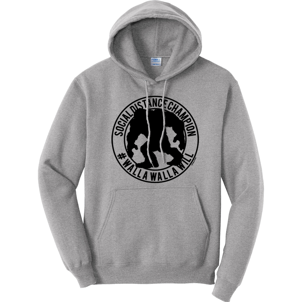 champion athletic hoodie