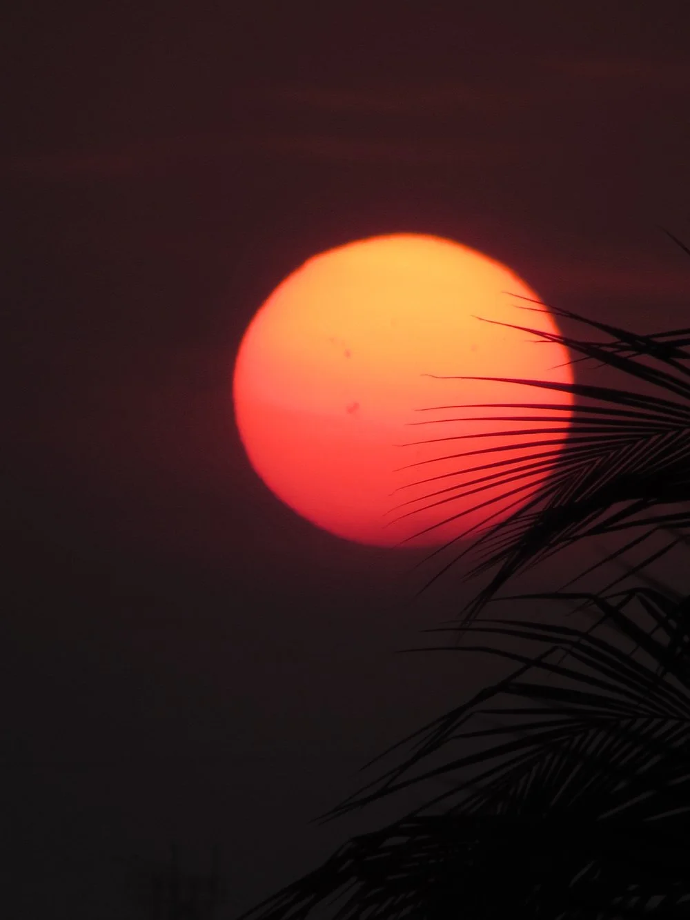 Photo by Amit Nayak