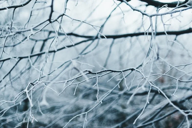 Photo by Anna Popovic
