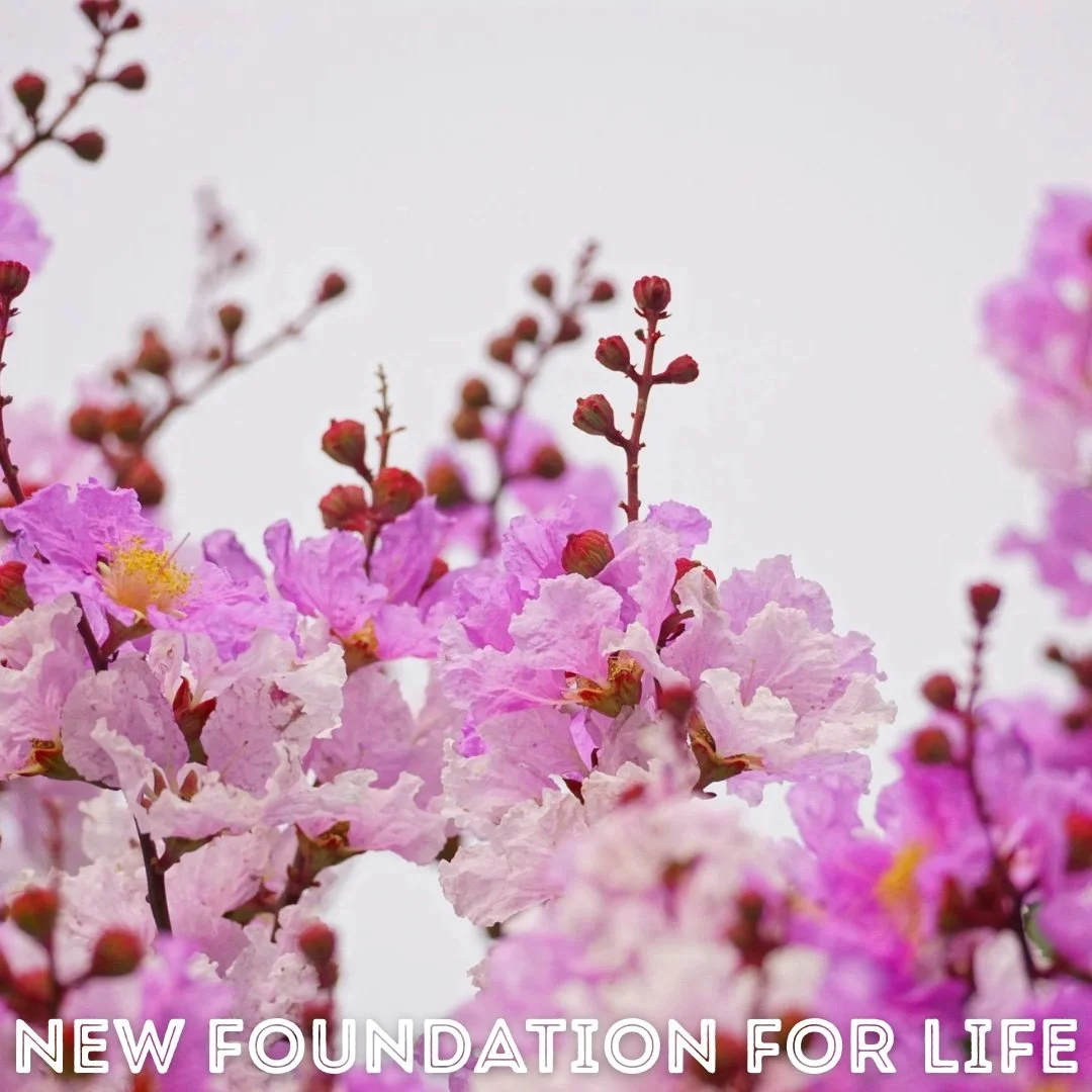 HEAL, GROW &amp; RISE: Entering the Courts of the Lord and Becoming Whole