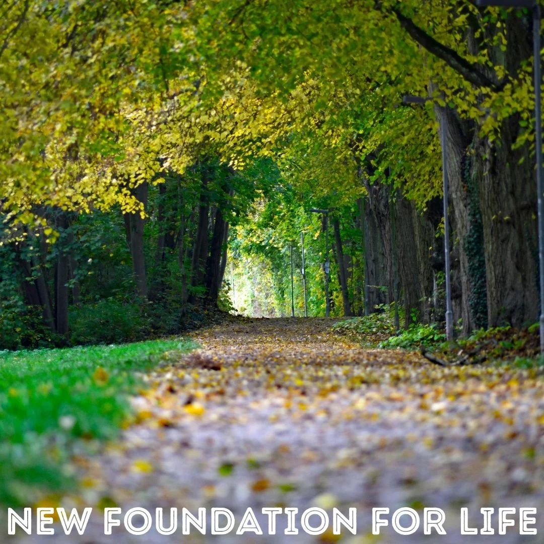 RISING IN GOD'S WISDOM: Path to Healing, Wholeness, and Purpose