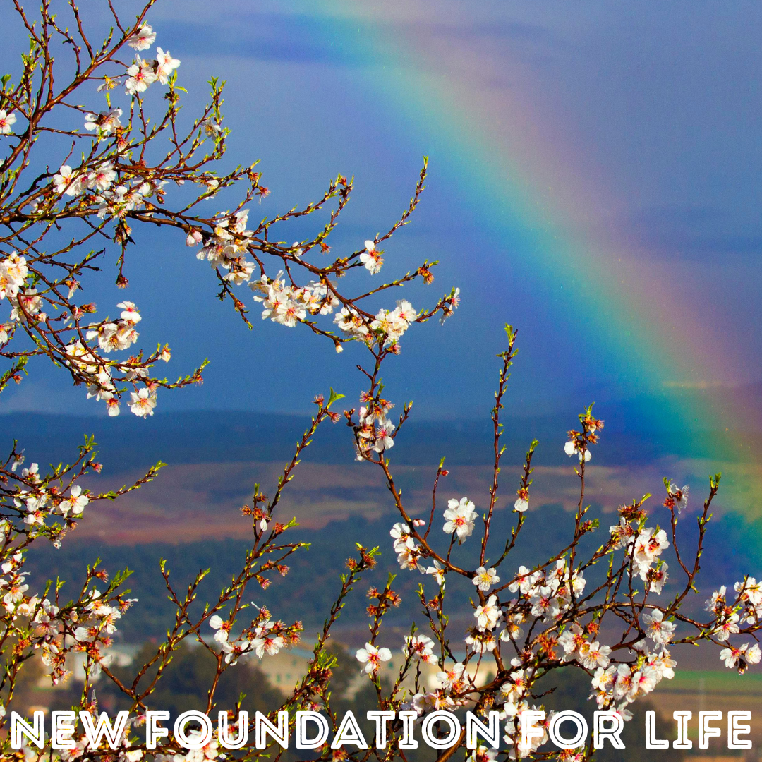 A 12-STEP JOURNEY: COMPLETE IN CHRIST