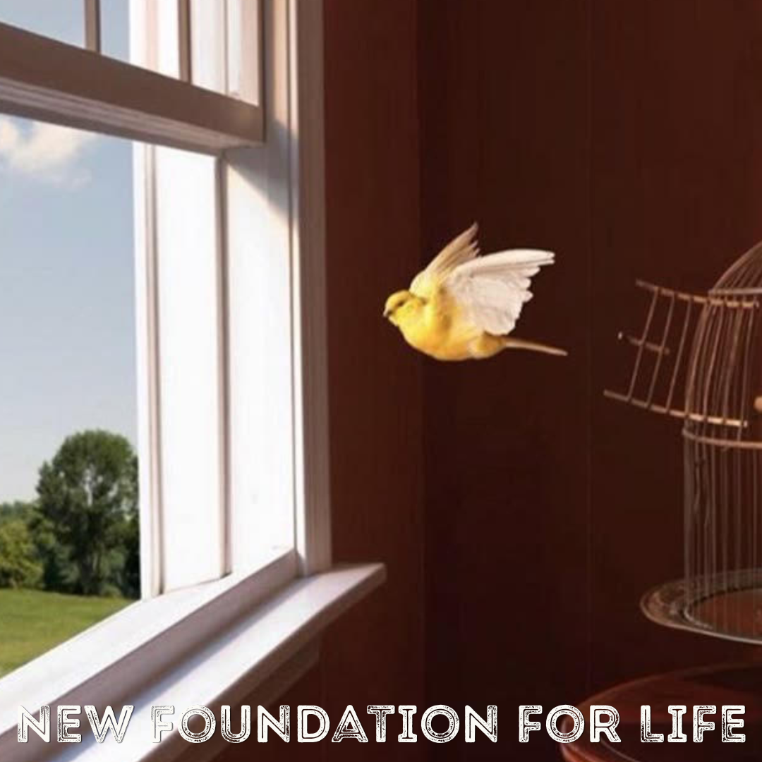 Dysfunctional Relating: A Fowler's Snare 