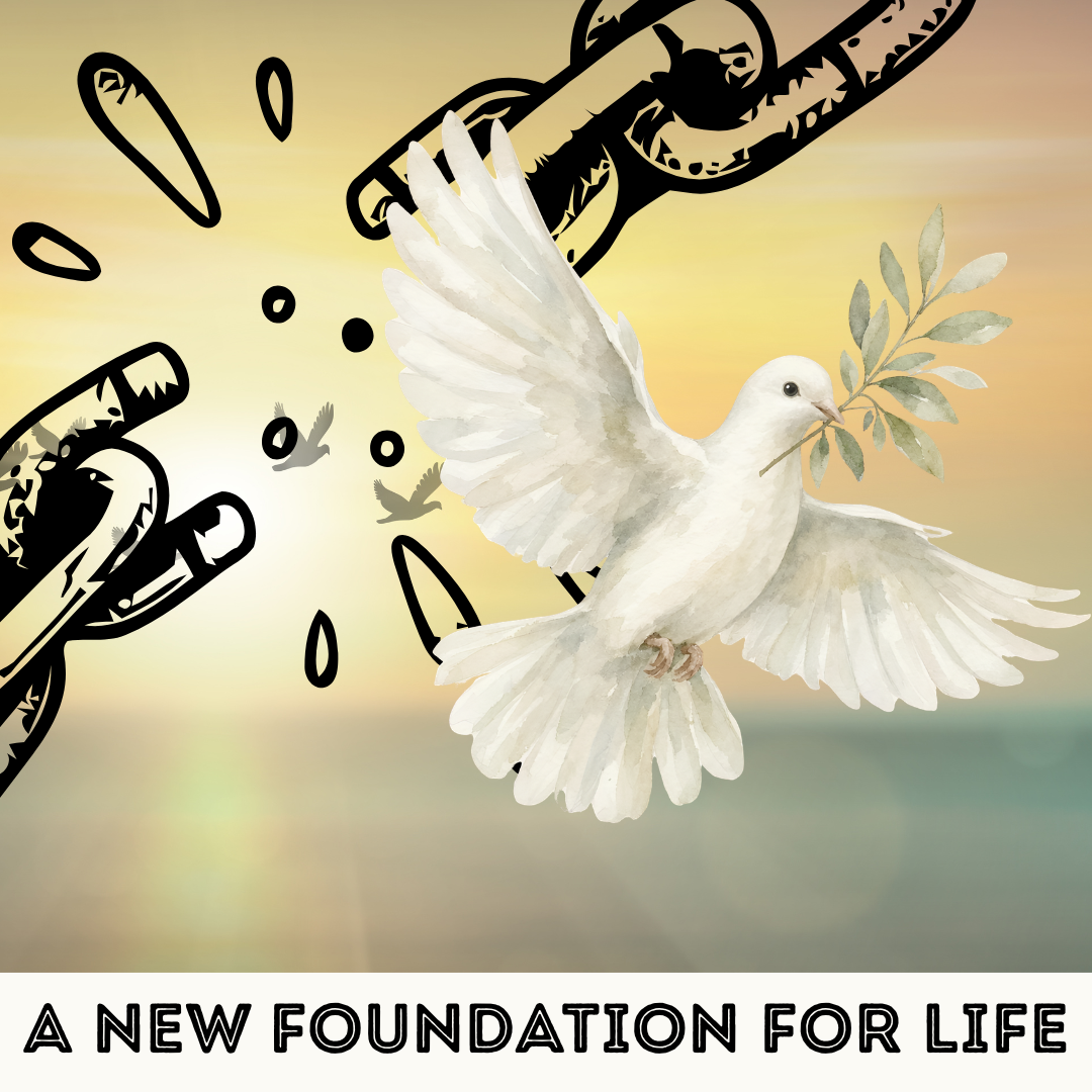 Be Set Free from Trauma Trap