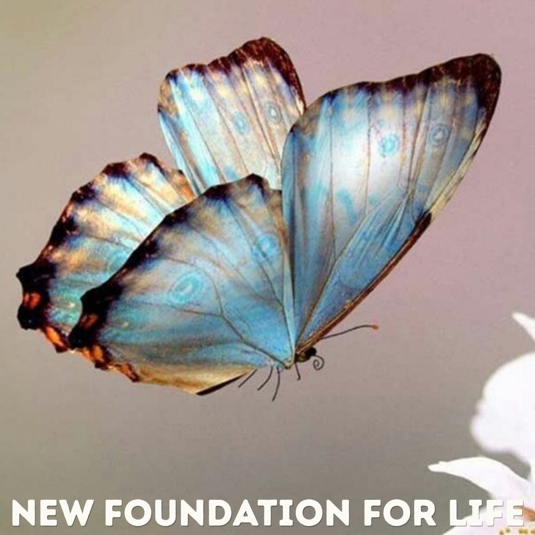 From Lost to Found: Discovering True Identity