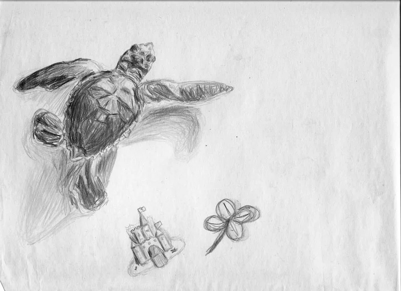 turtle_clover_w.jpg