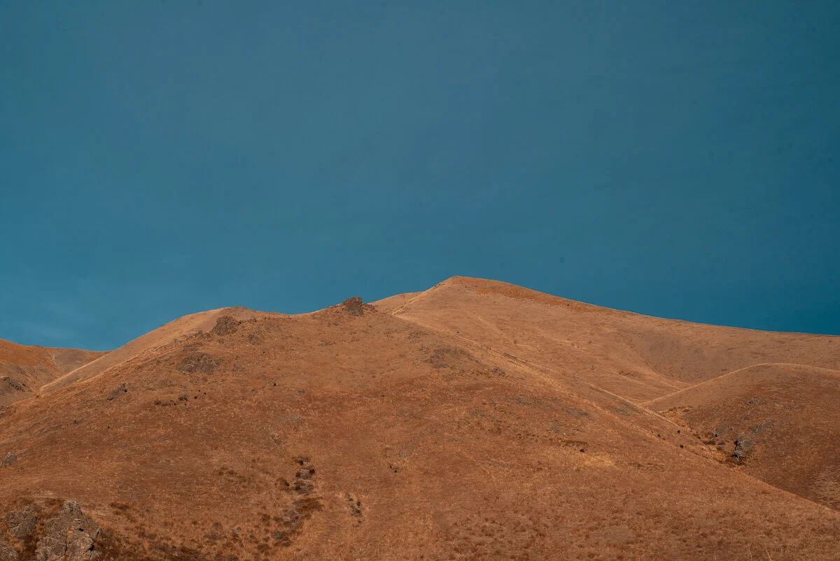 _AJM9223.jpeg