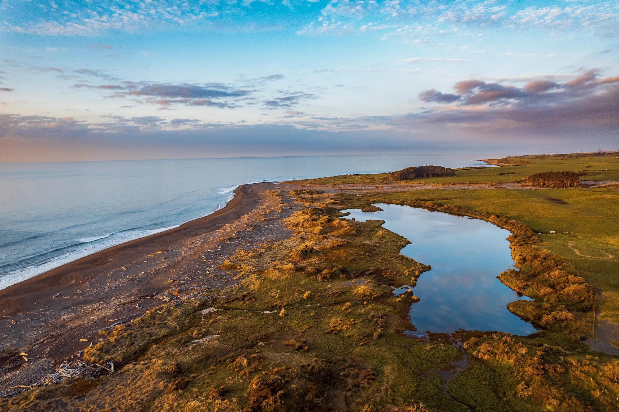 Imports - 1 of 15.jpeg