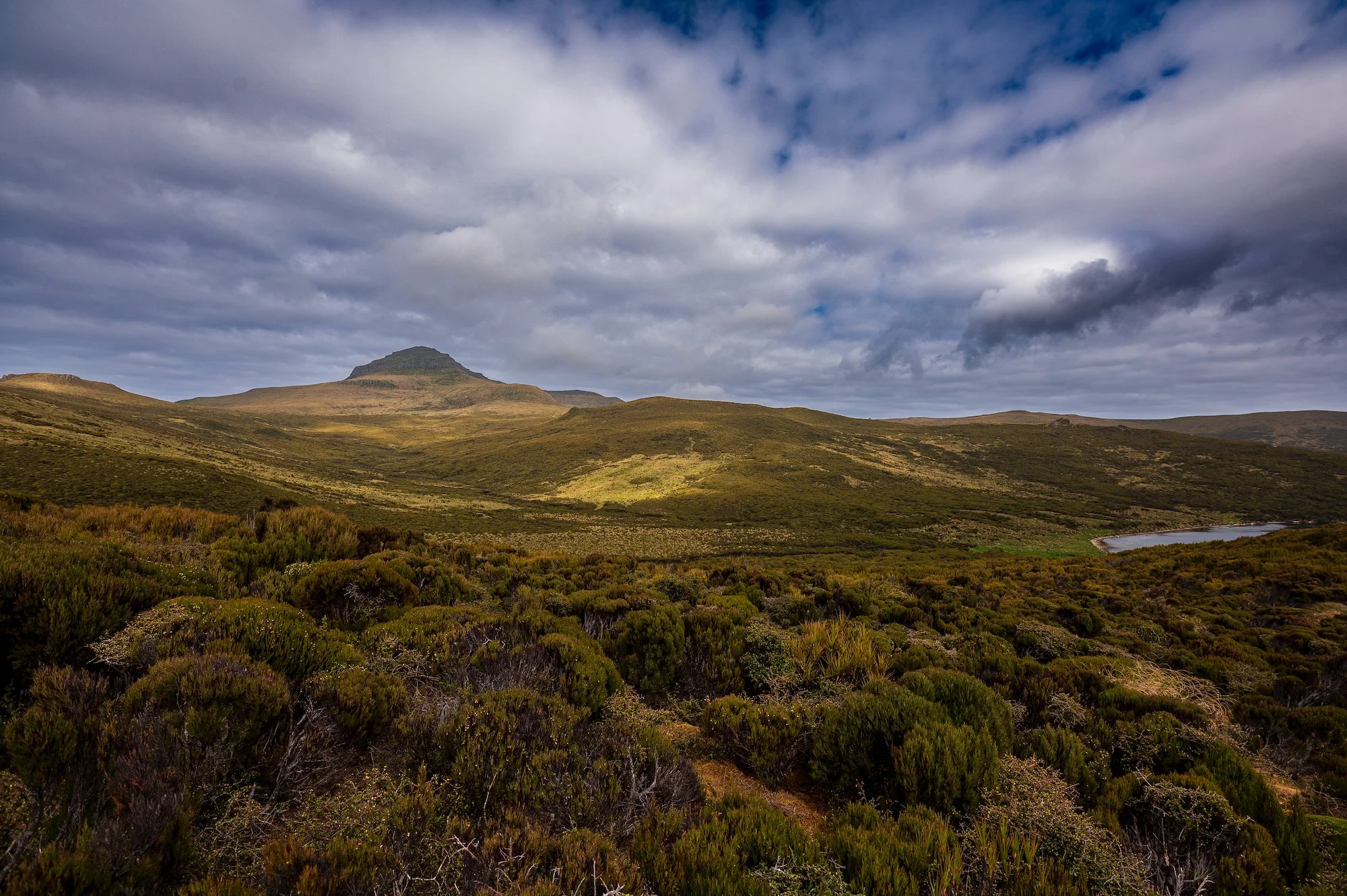 Sub Antarctic - 2 of 19.jpeg