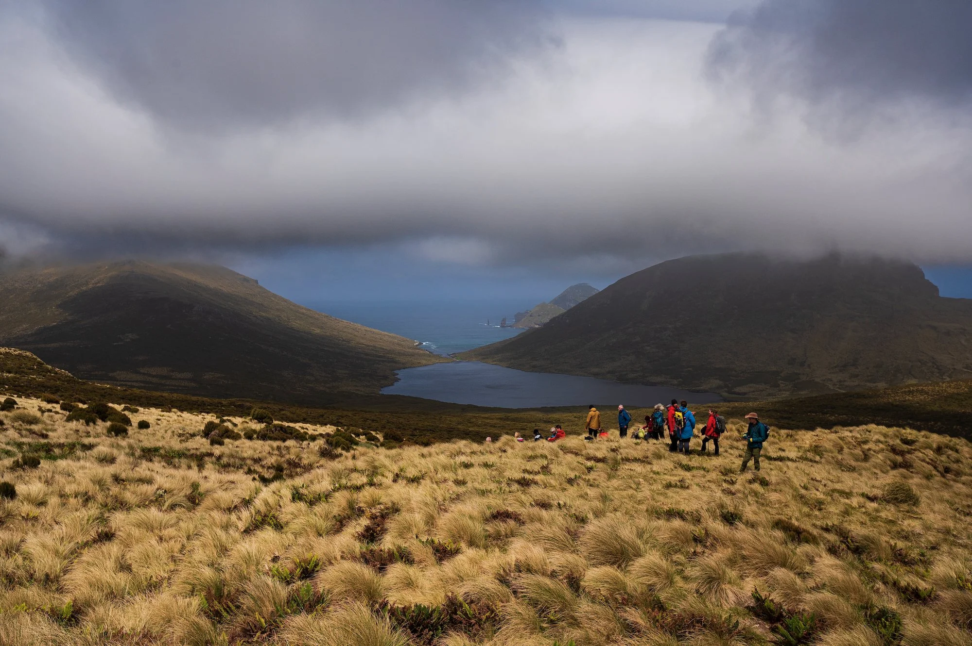 Sub Antarctic - 4 of 19.jpeg