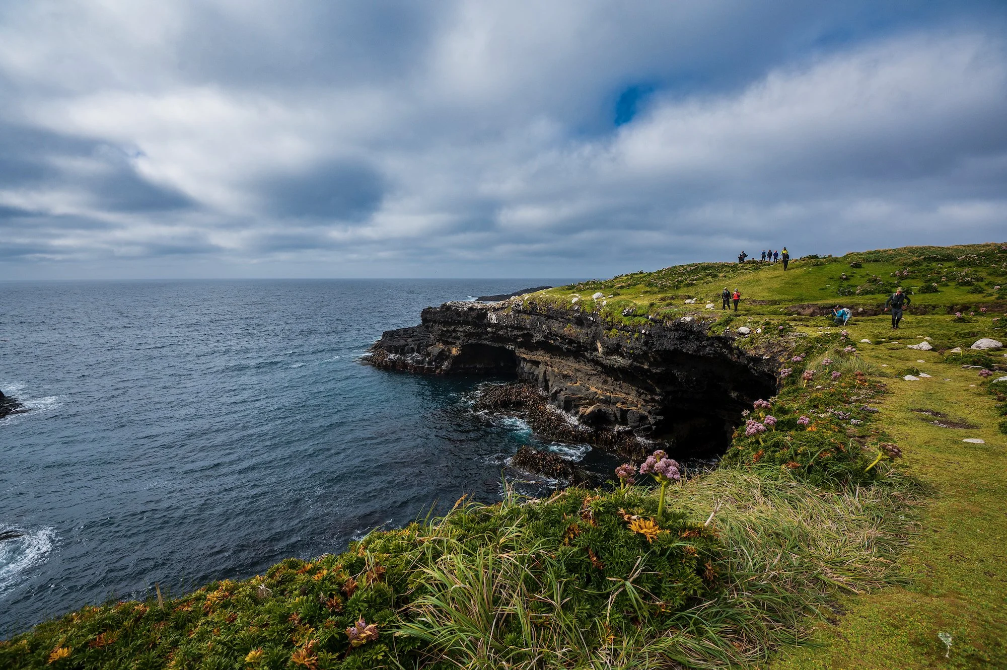 Sub Antarctic - 11 of 19.jpeg