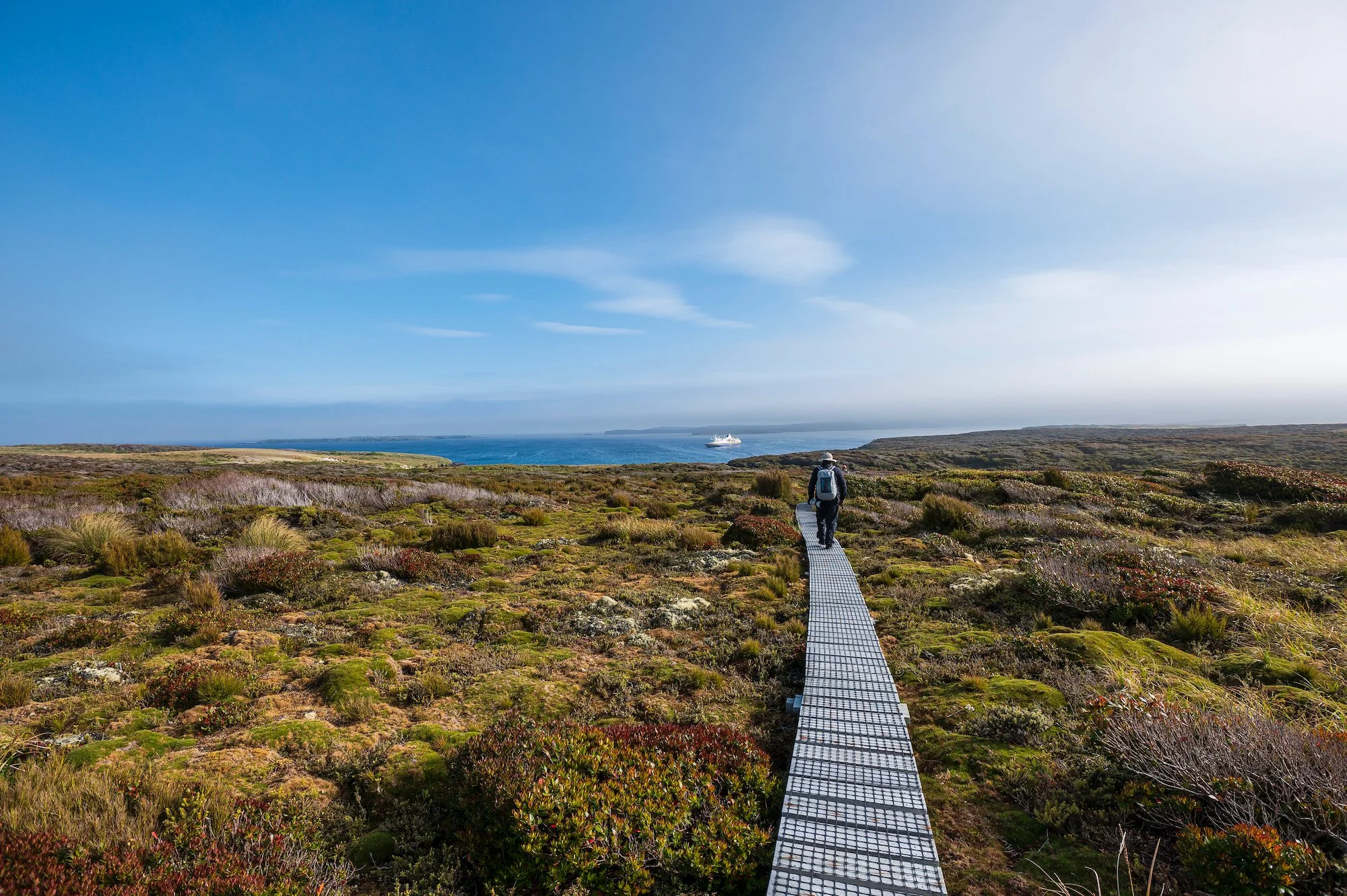 Sub Antarctic - 14 of 19.jpeg