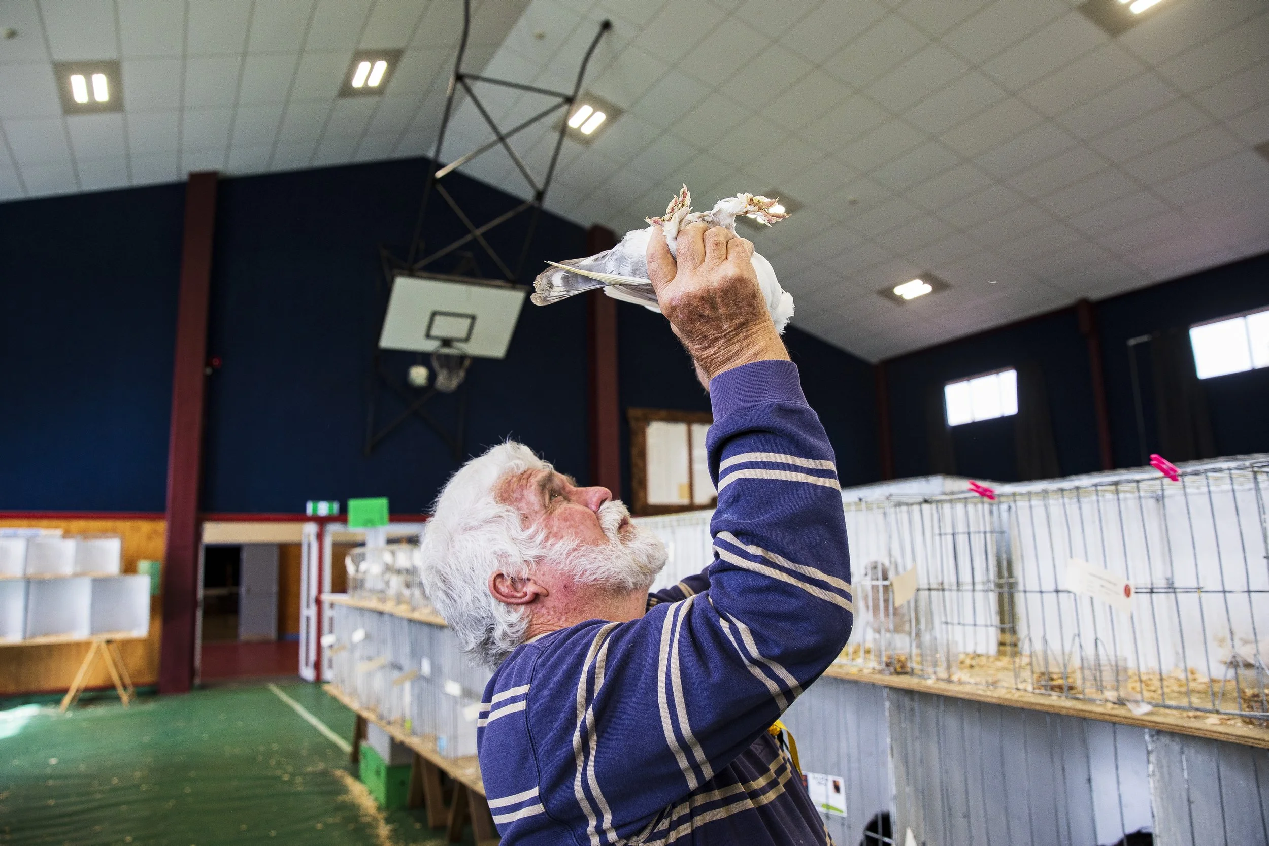 23-TDN- to judge a bird -3965.JPG