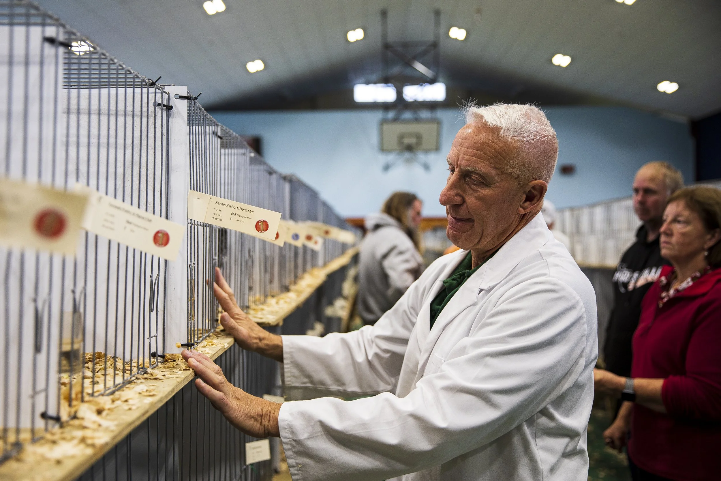 23-TDN- to judge a bird -3963.JPG