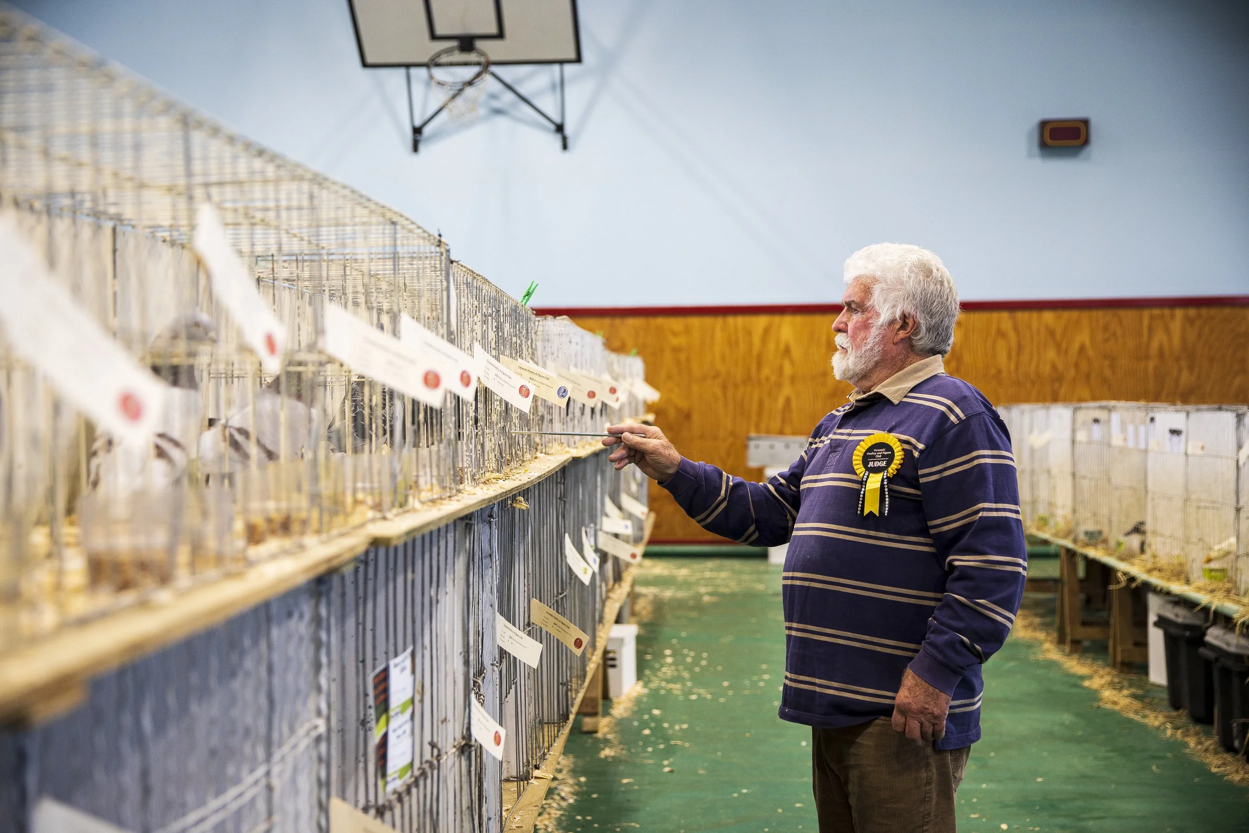 23-TDN- to judge a bird -3960.JPG