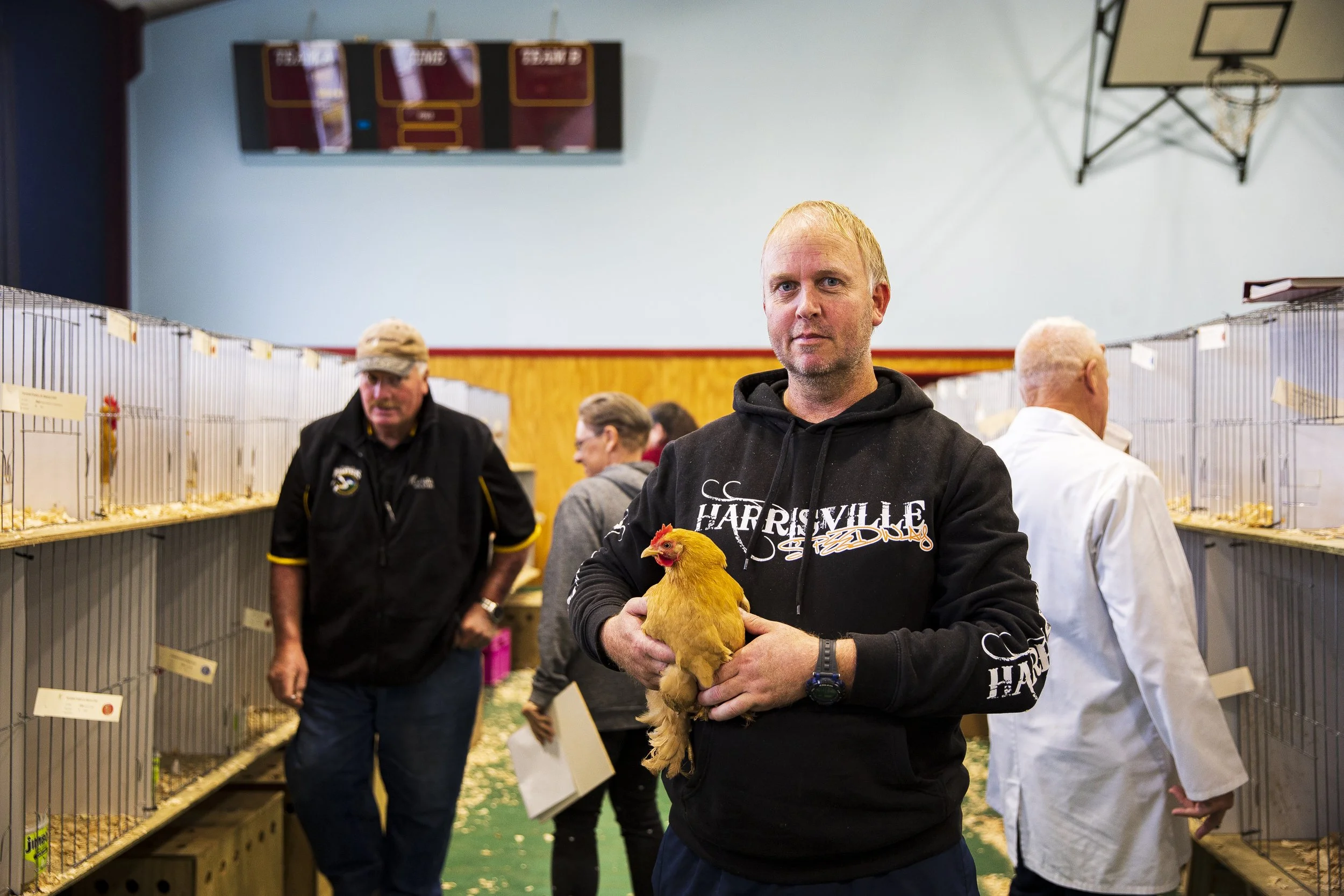 23-TDN- to judge a bird -3959.JPG