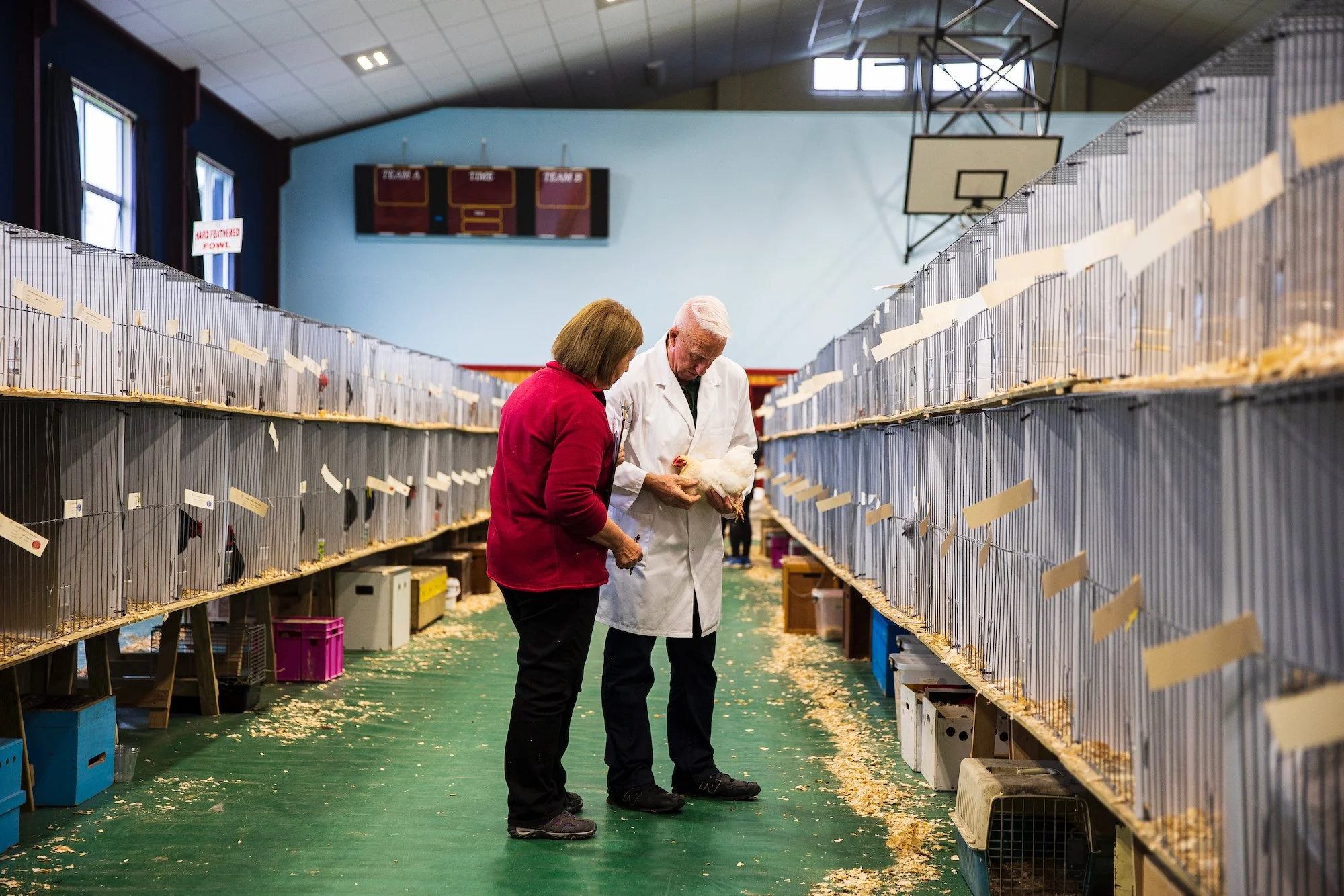 23-TDN- to judge a bird -3958.jpeg