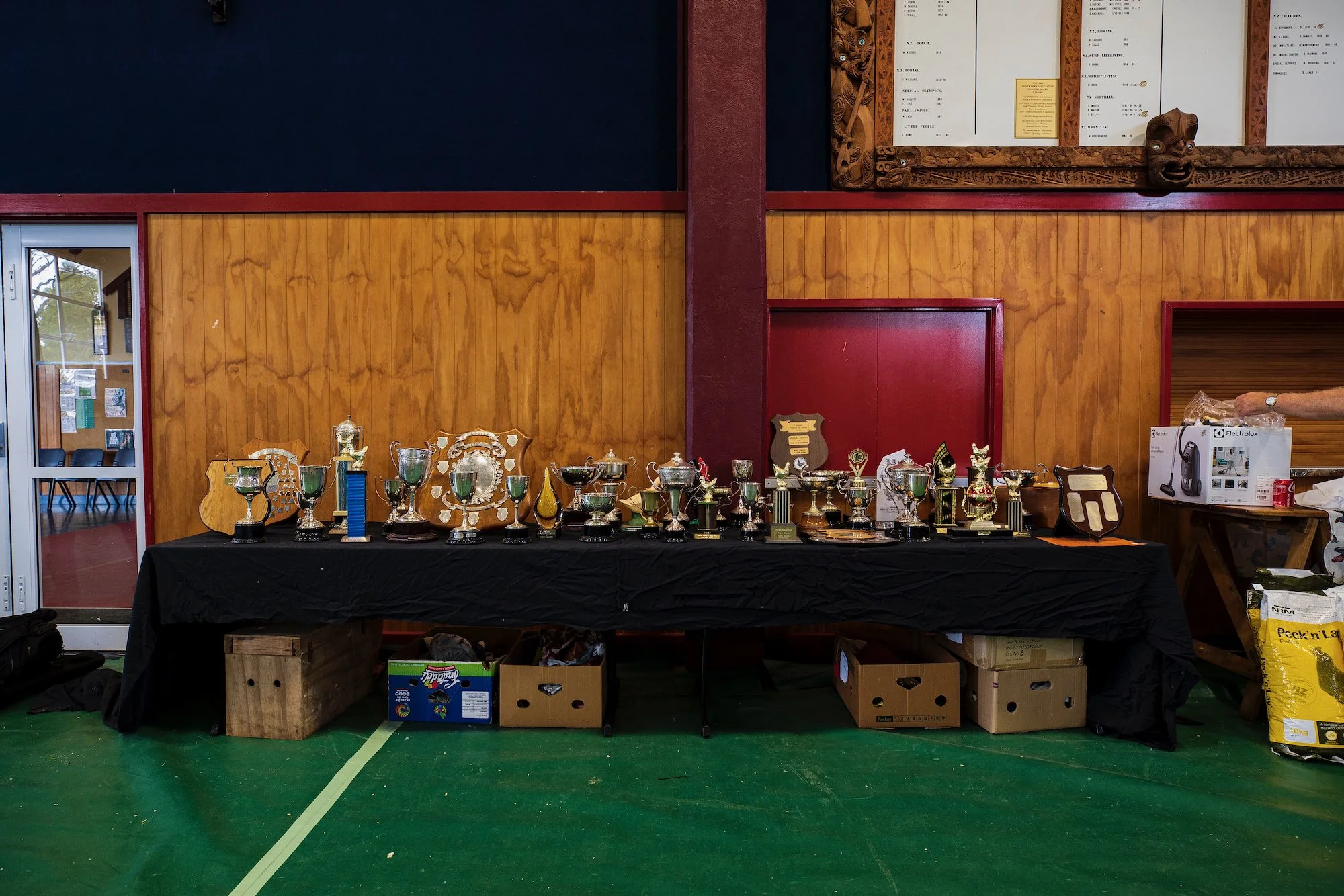 23-TDN- to judge a bird -3967.jpeg