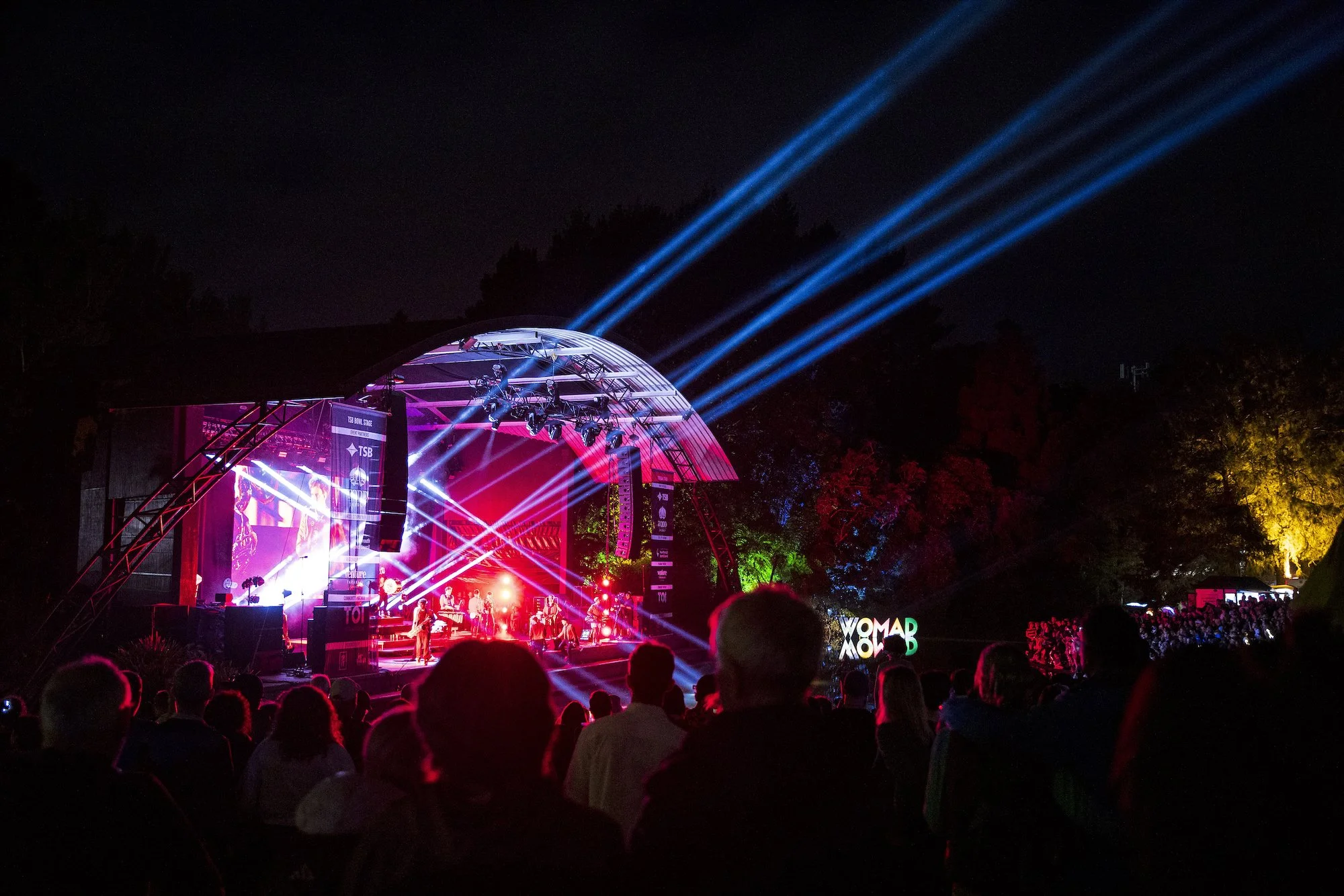 23-TDN- WOMAD 2976.jpeg