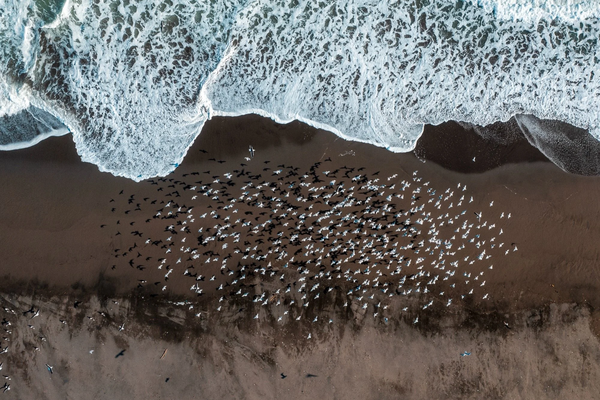 DJI_0303.jpeg