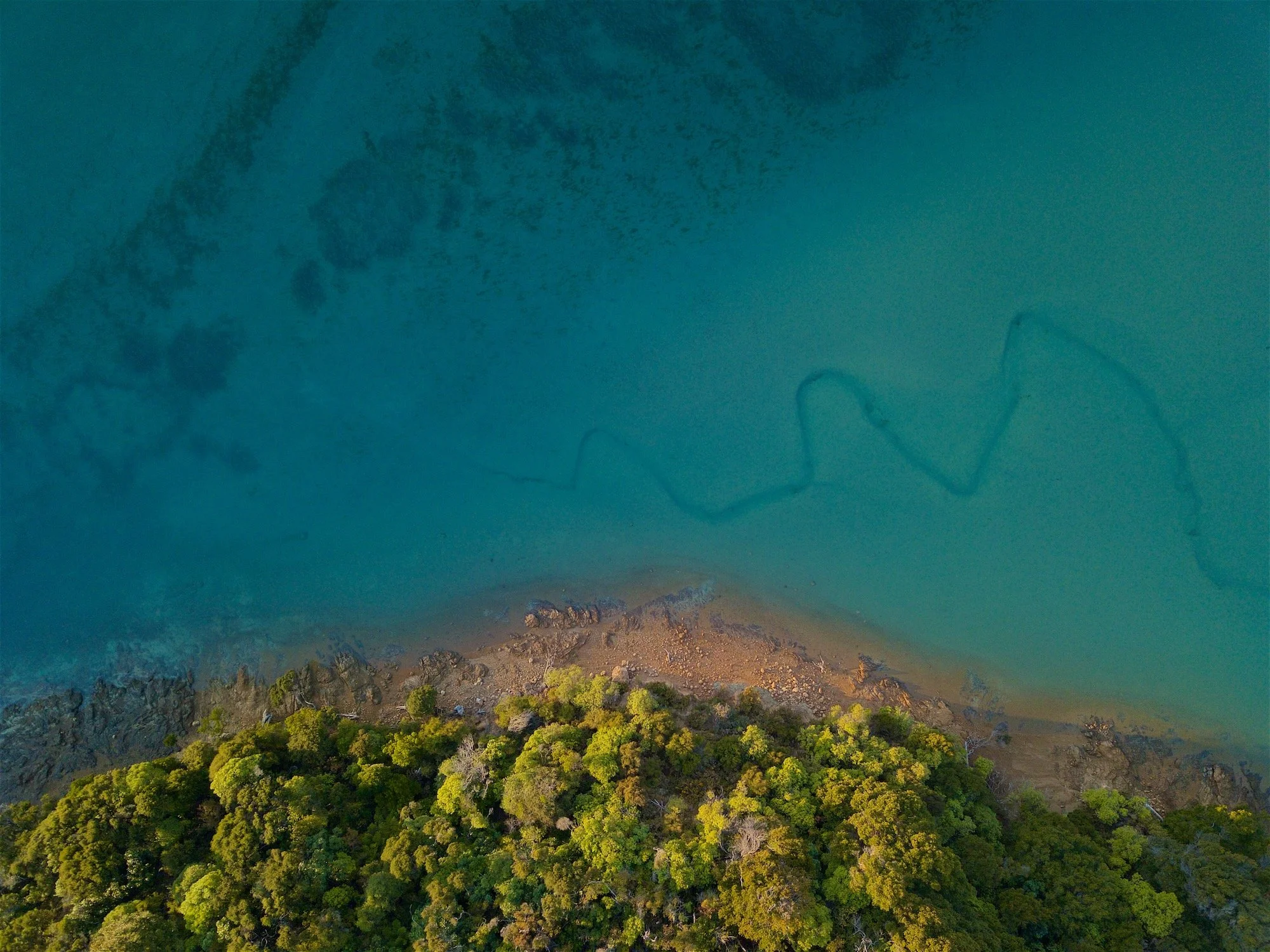 DJI_0331.jpeg