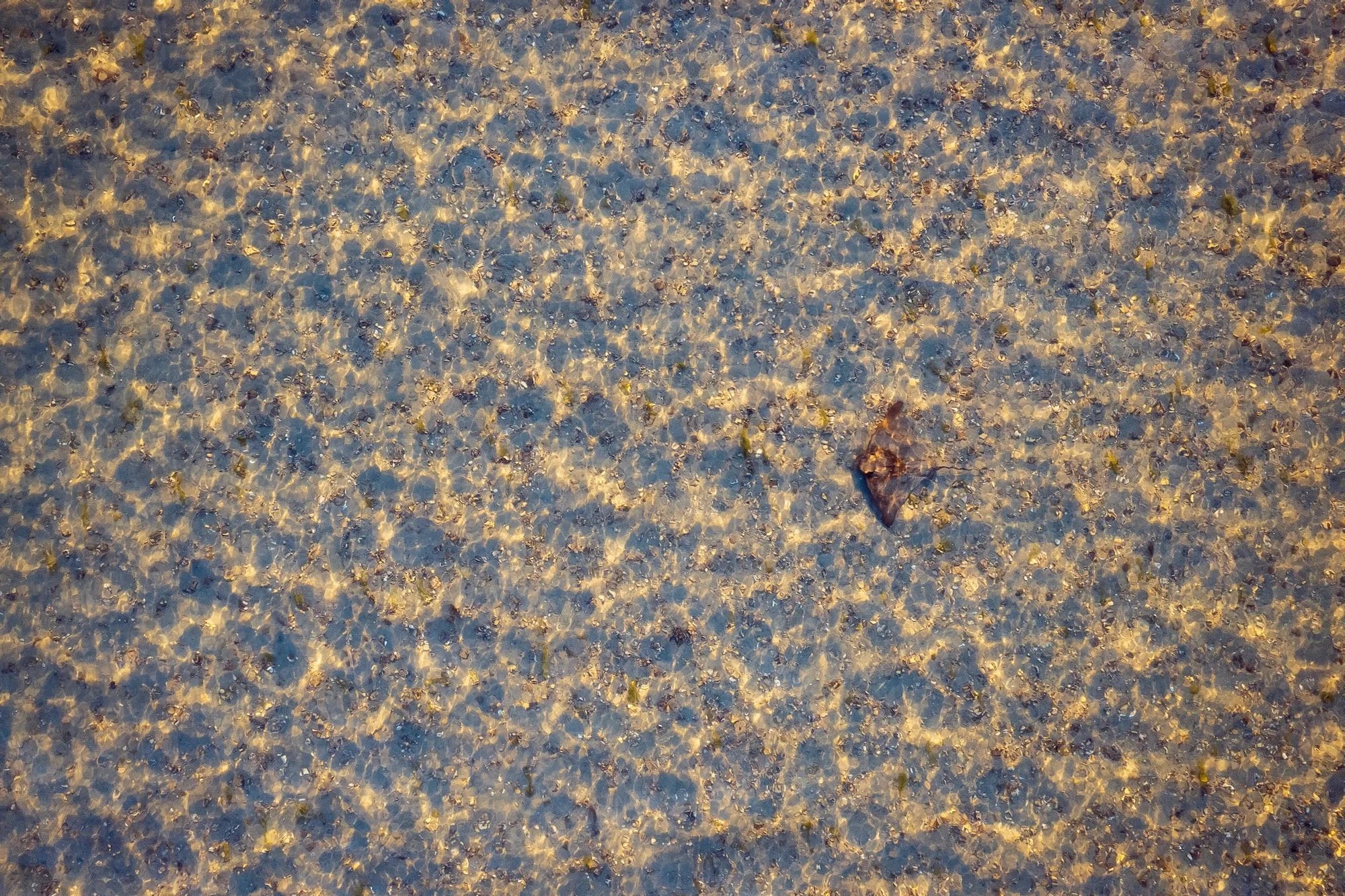 DJI_0743.jpeg