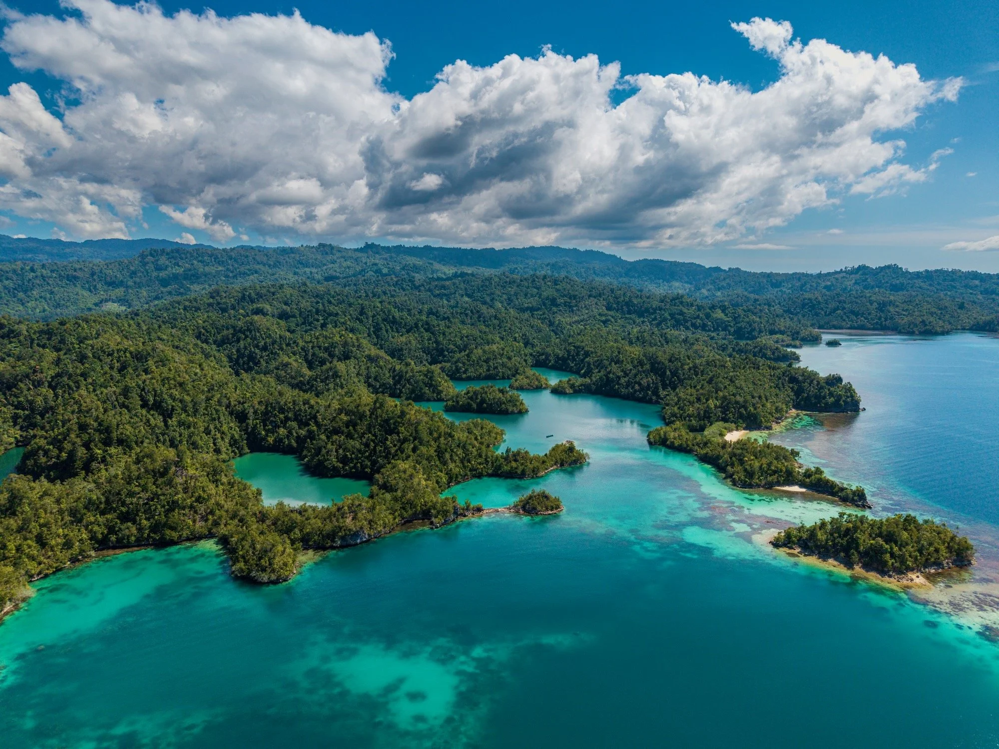 DJI_20260628140449_0558_D.jpeg