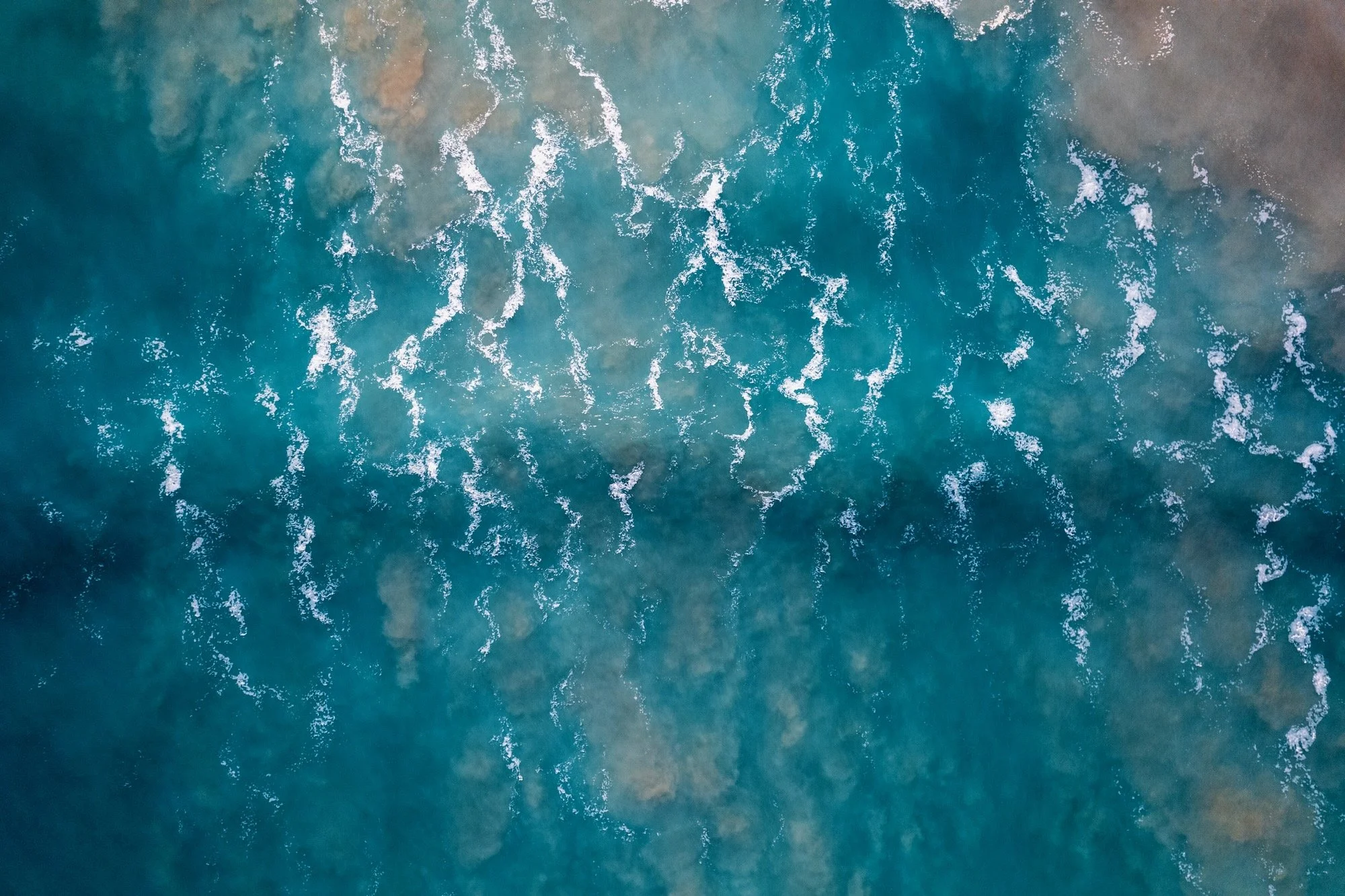 DJI_0446.jpeg