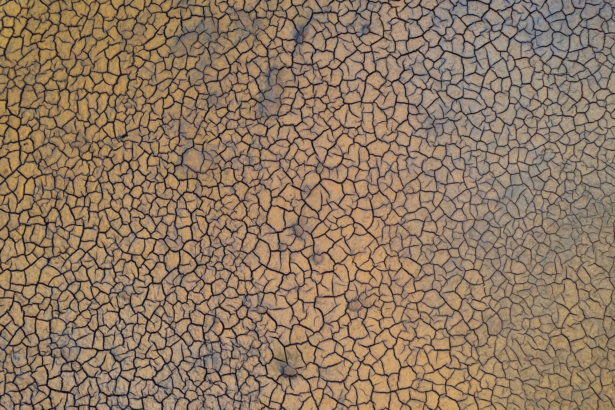 DJI_0466_1.jpeg