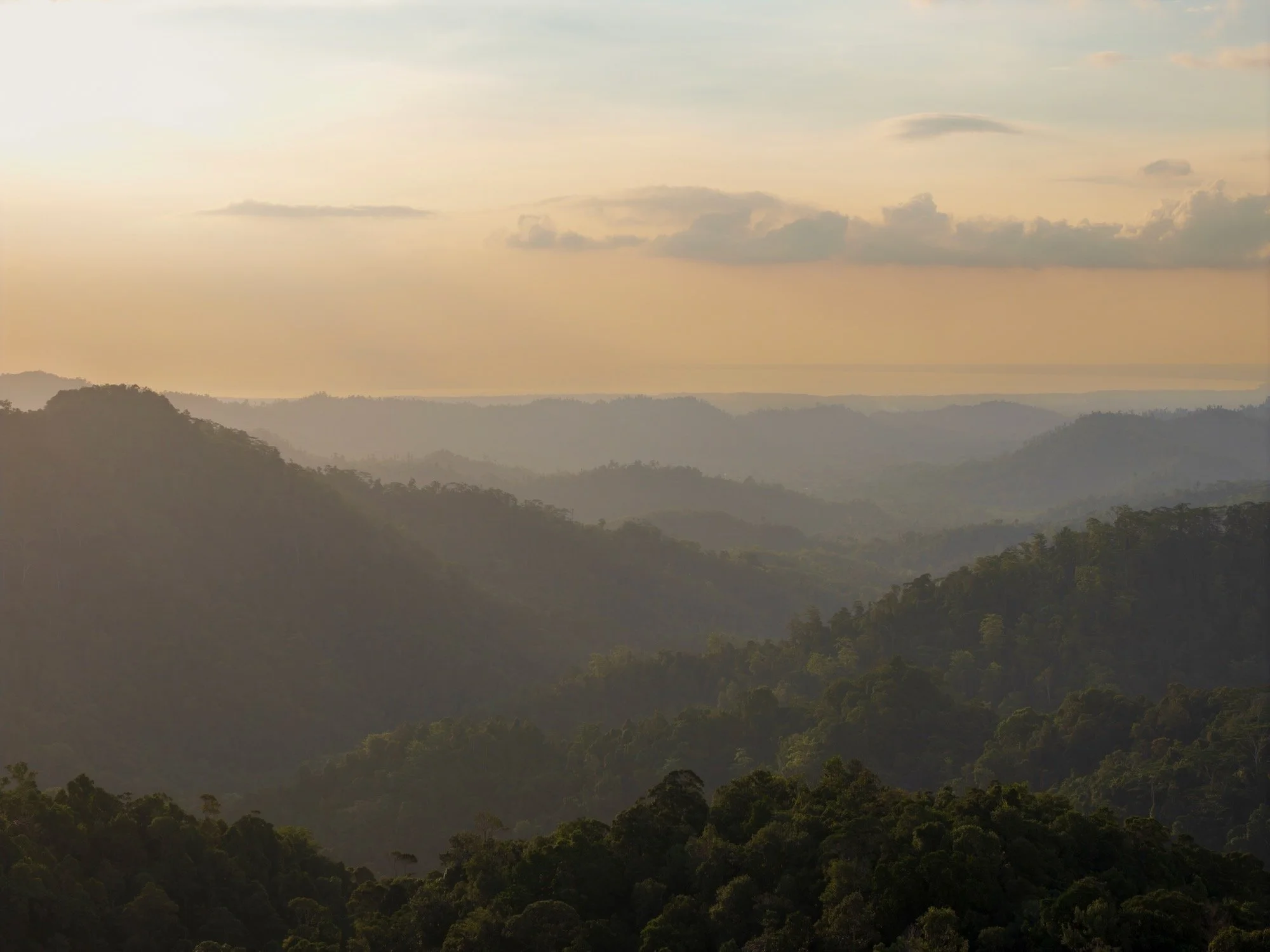 DJI_20260701174549_0081_D.jpeg
