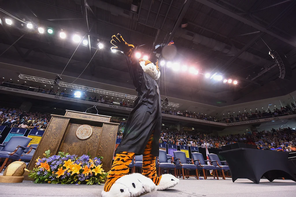 aubie gradutation.jpg