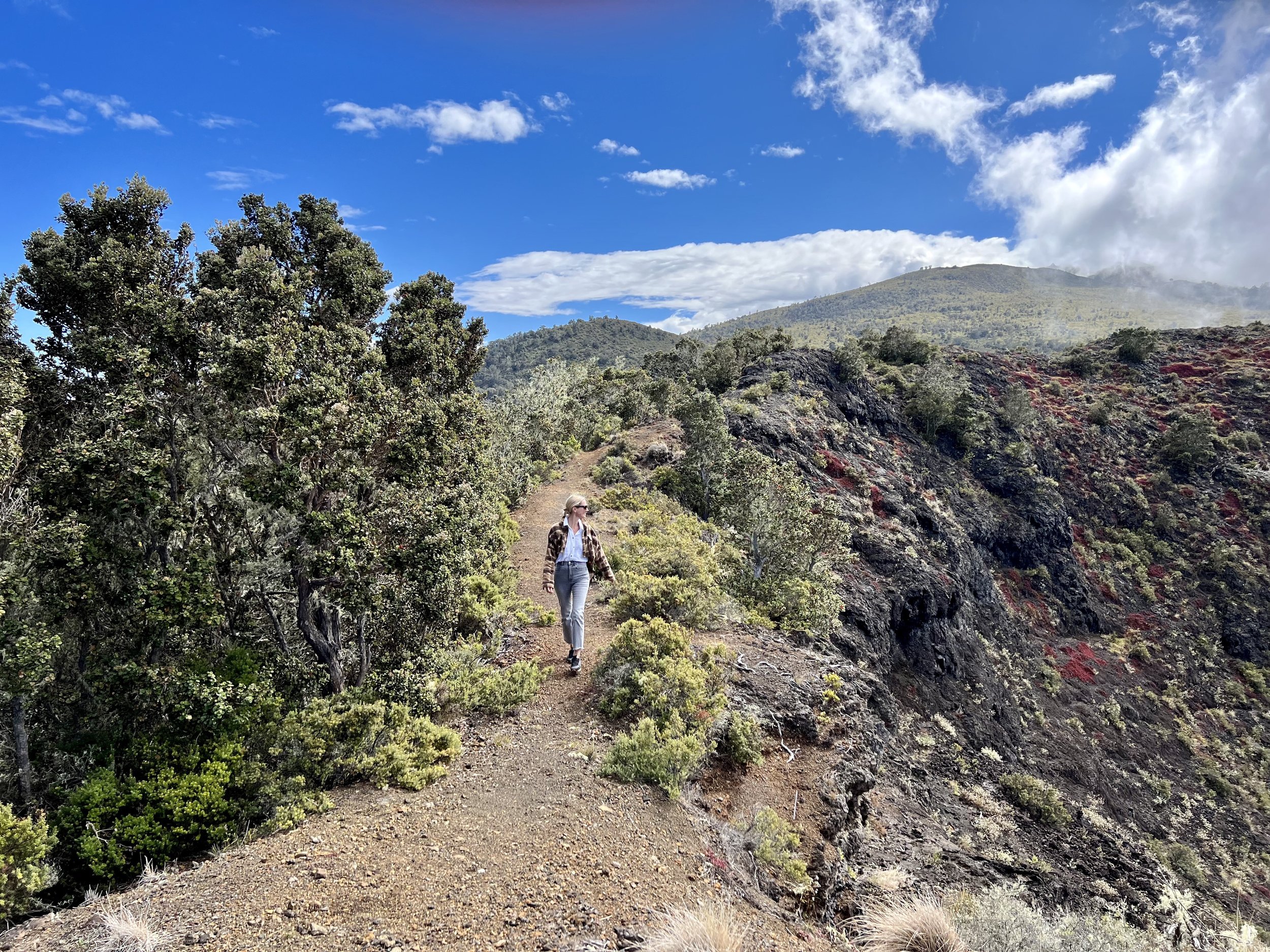 A magical morning spent trekking on the Island of Hawaii (also known as the Big Island)