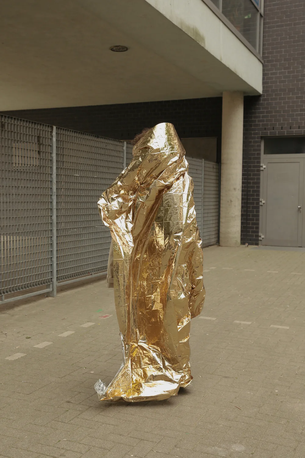STERNE ARCTIQUE 12.jpg
