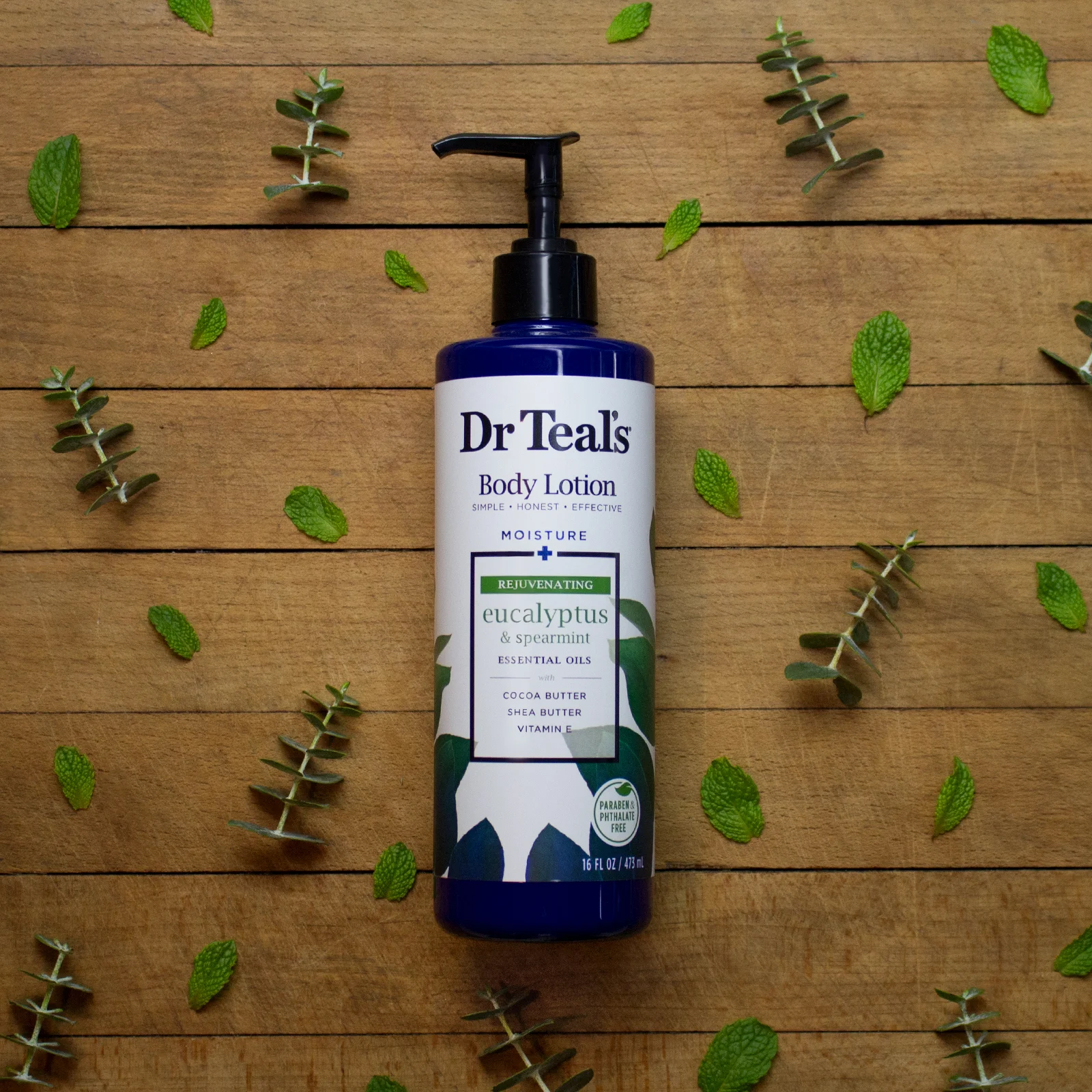 Lotions_IngredientStory_EucalyptusSpearmint.jpg