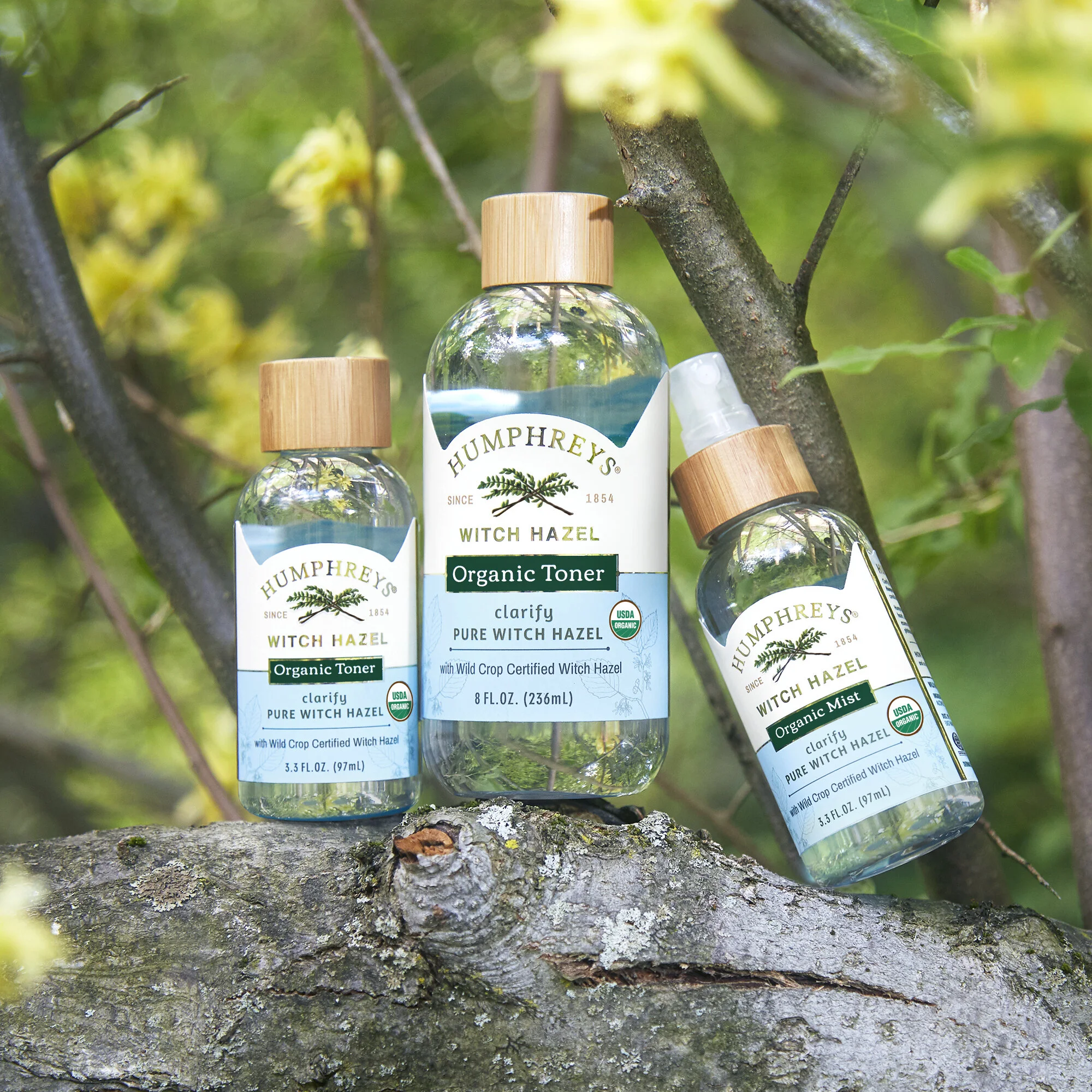 1_WITCH_HAZEL_ORGANIC_0466_V2.jpg