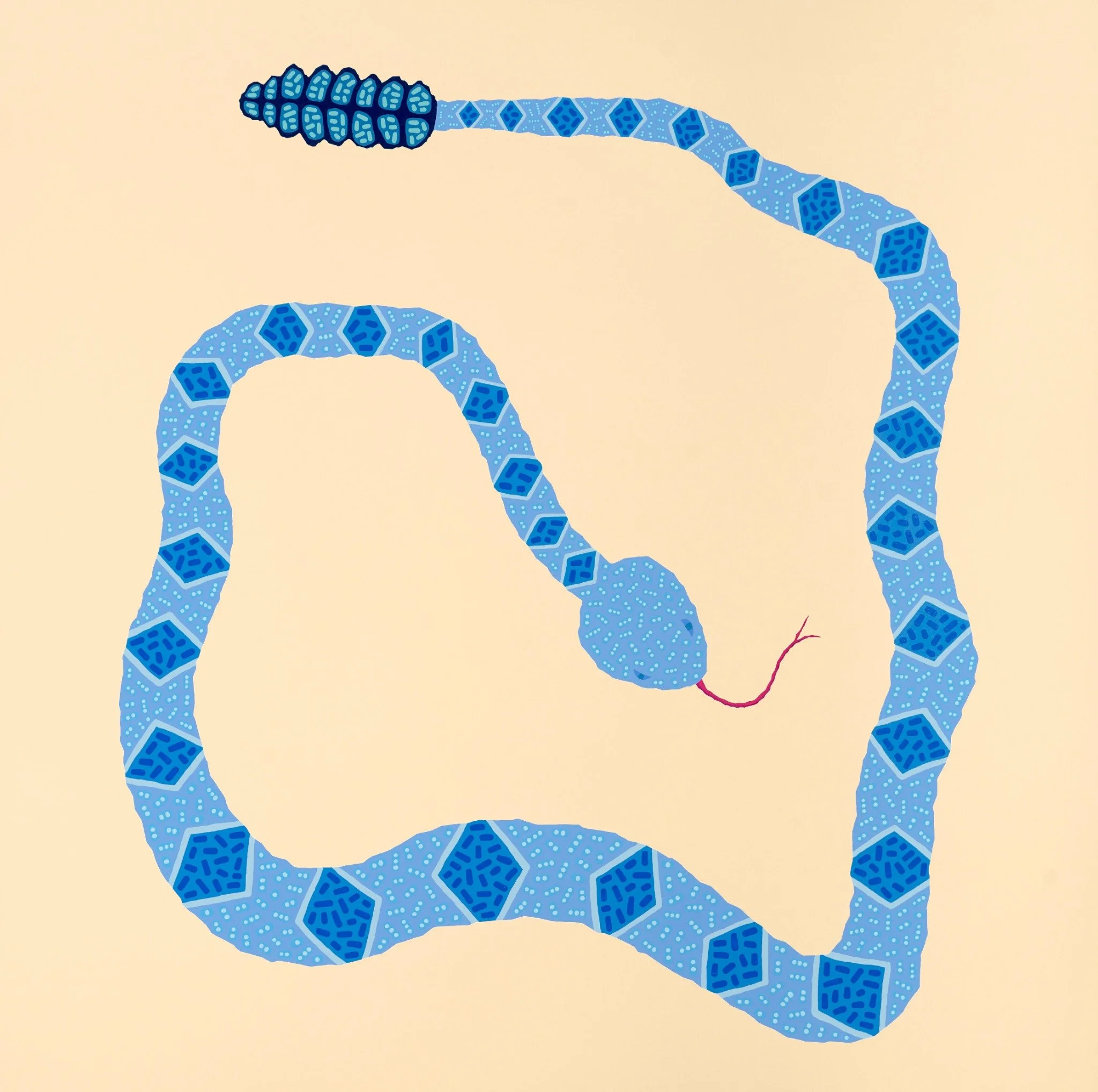 Blue Diamondback(1).jpg
