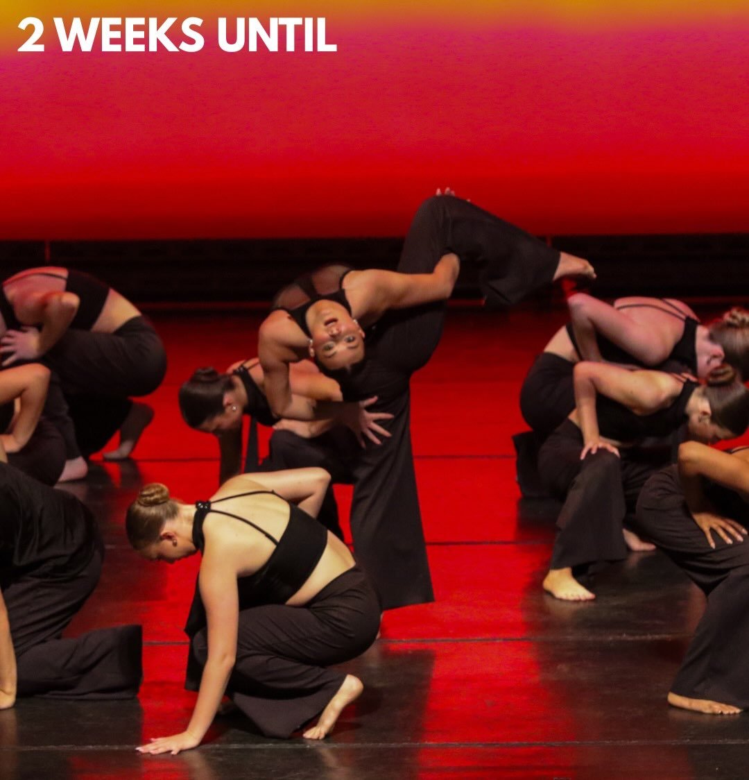 ⏰✨ ONLY 2 WEEKS TO GO! ✨⏰

SEASON 48 is almost here, and we can hardly contain our excitement!