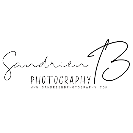 Sandrien.png