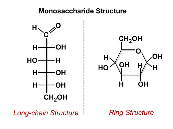 monosaccharide_structure.jpg