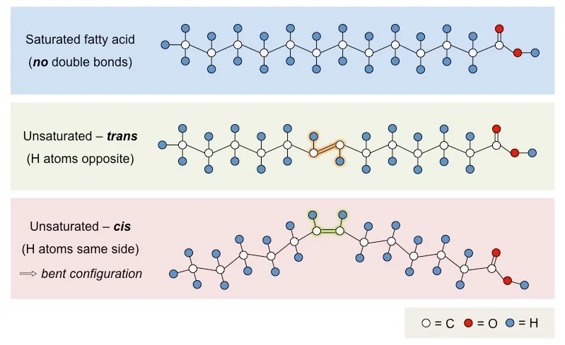 types-of-fatty-acids_med.jpeg