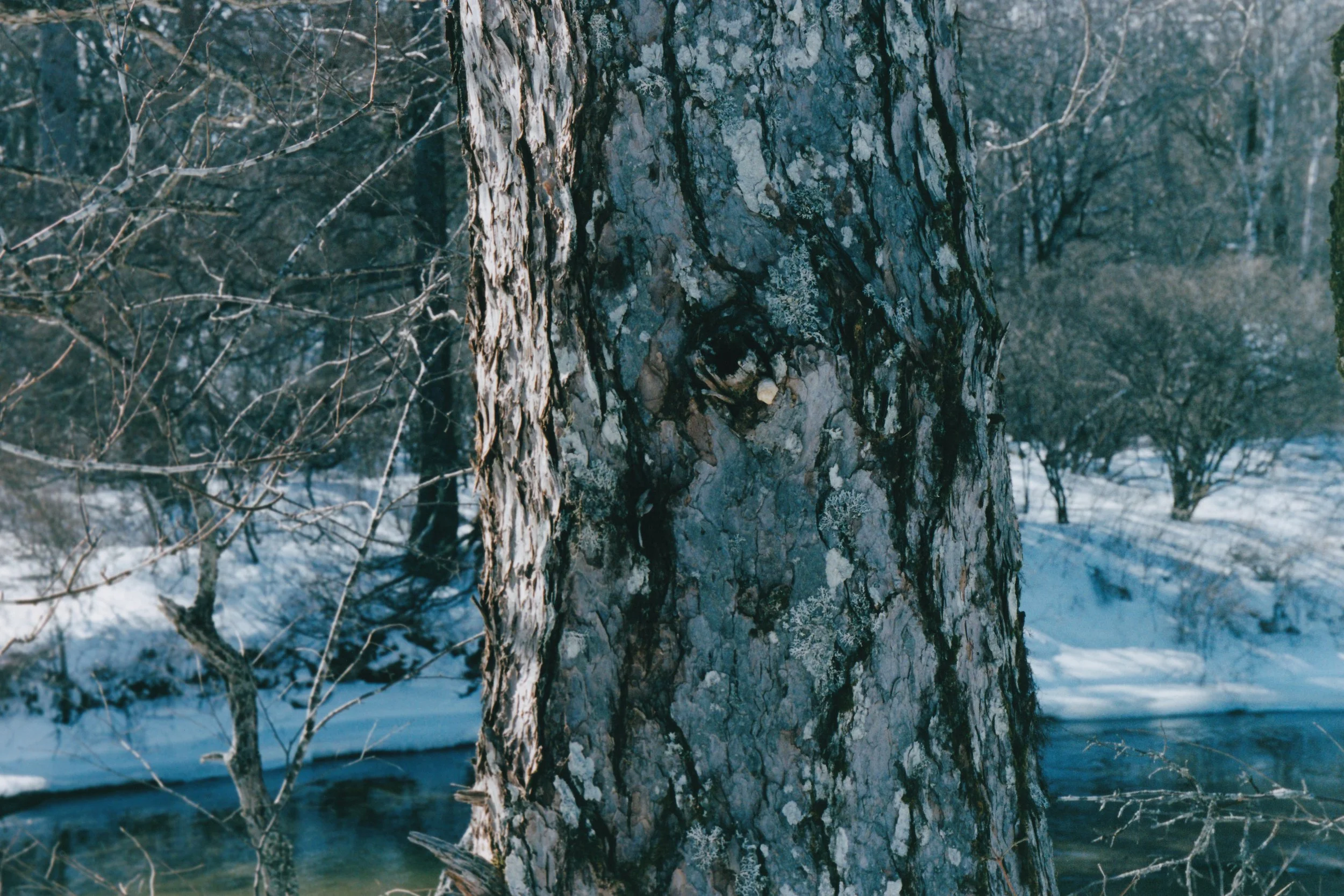 mar print_20260318_0007.jpg