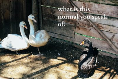 What the hell is normal in therapy anyway.jpg