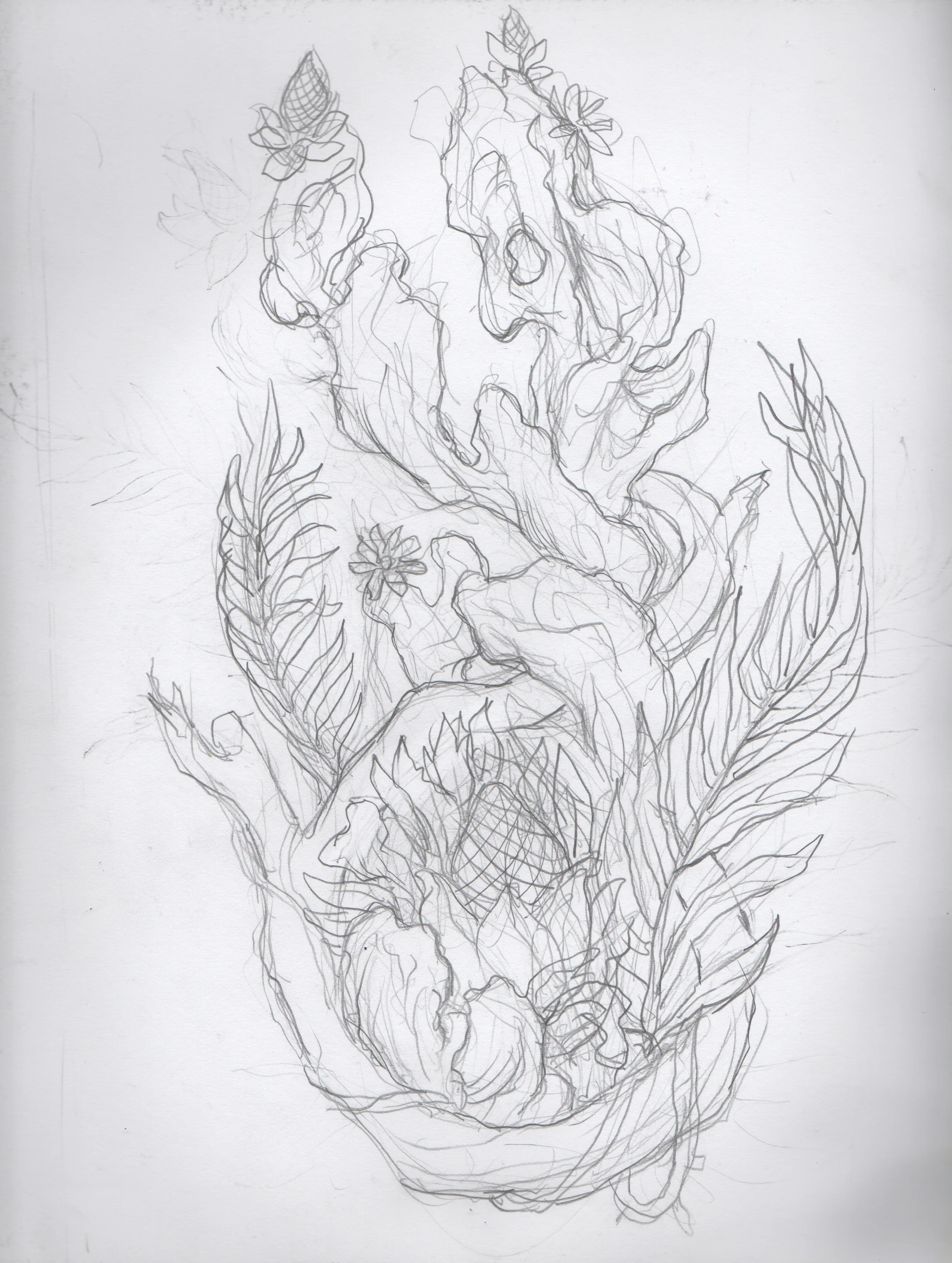  approved sketch for final cover  /  graphite on paper 