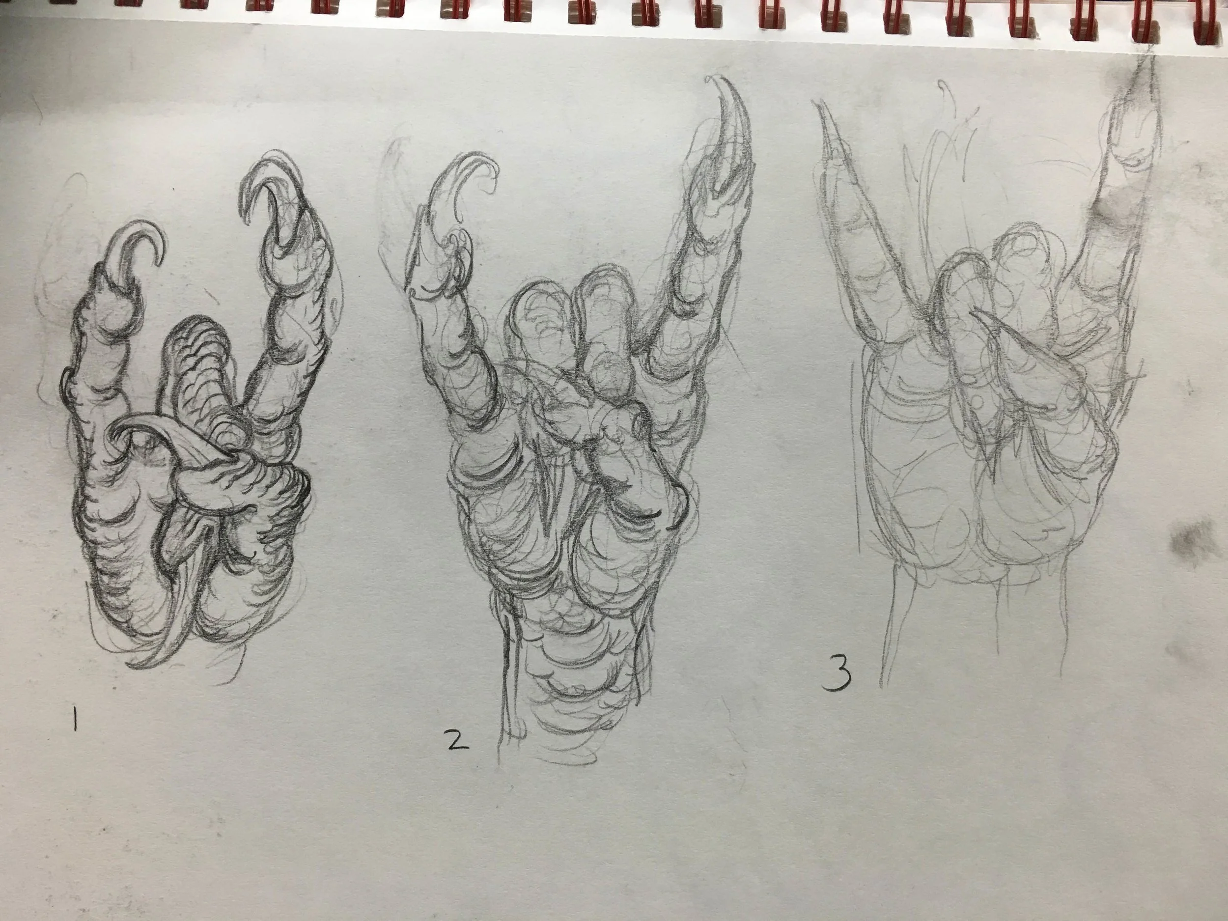 gork hand skethces 1.JPG