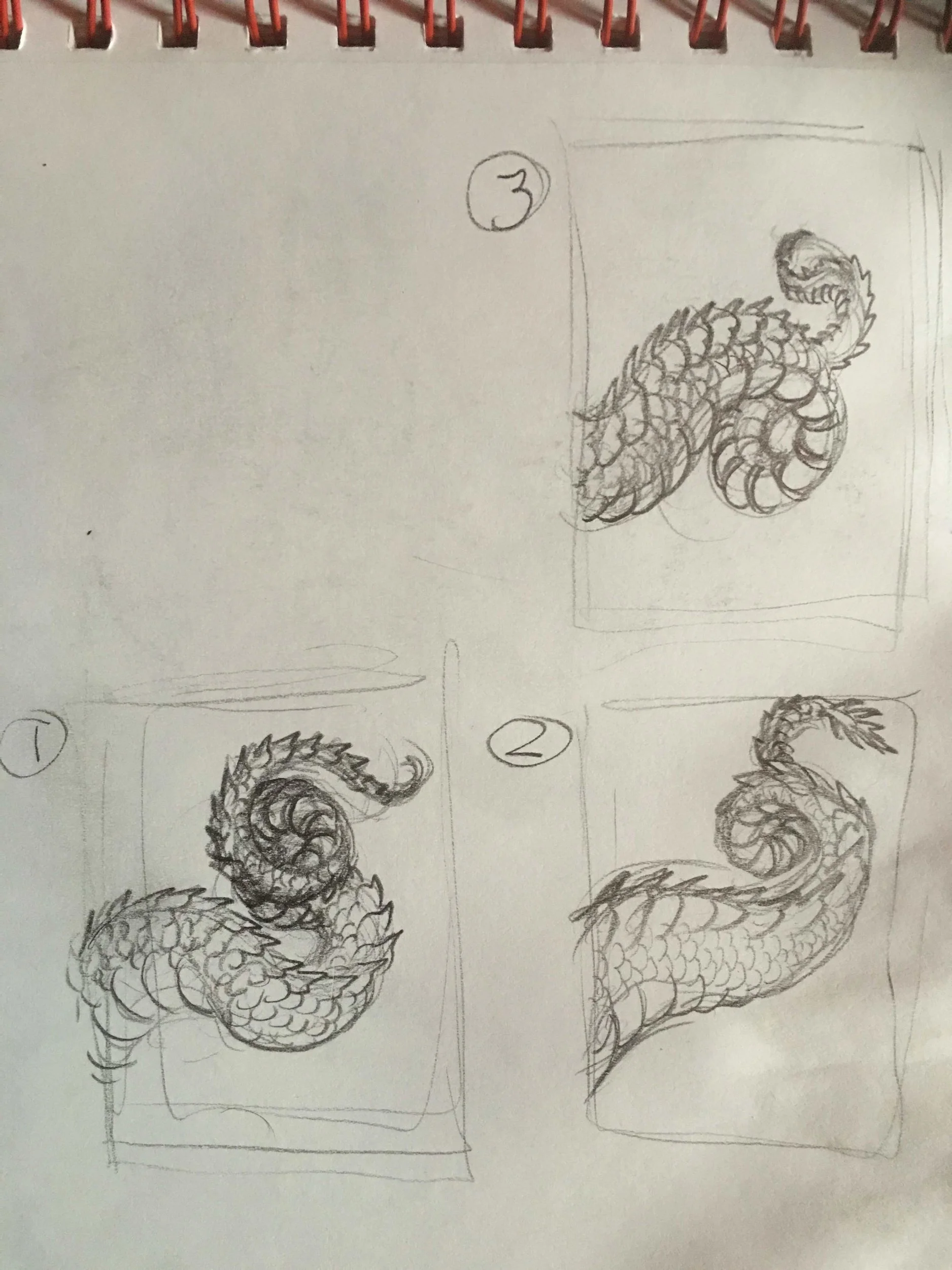 gork tail sketches.JPG