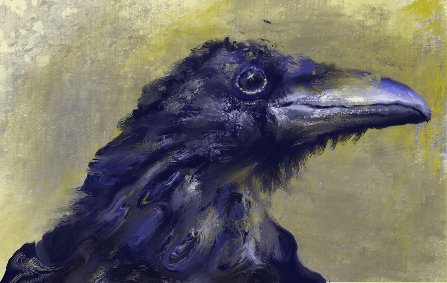 raven 1 small copy.JPG