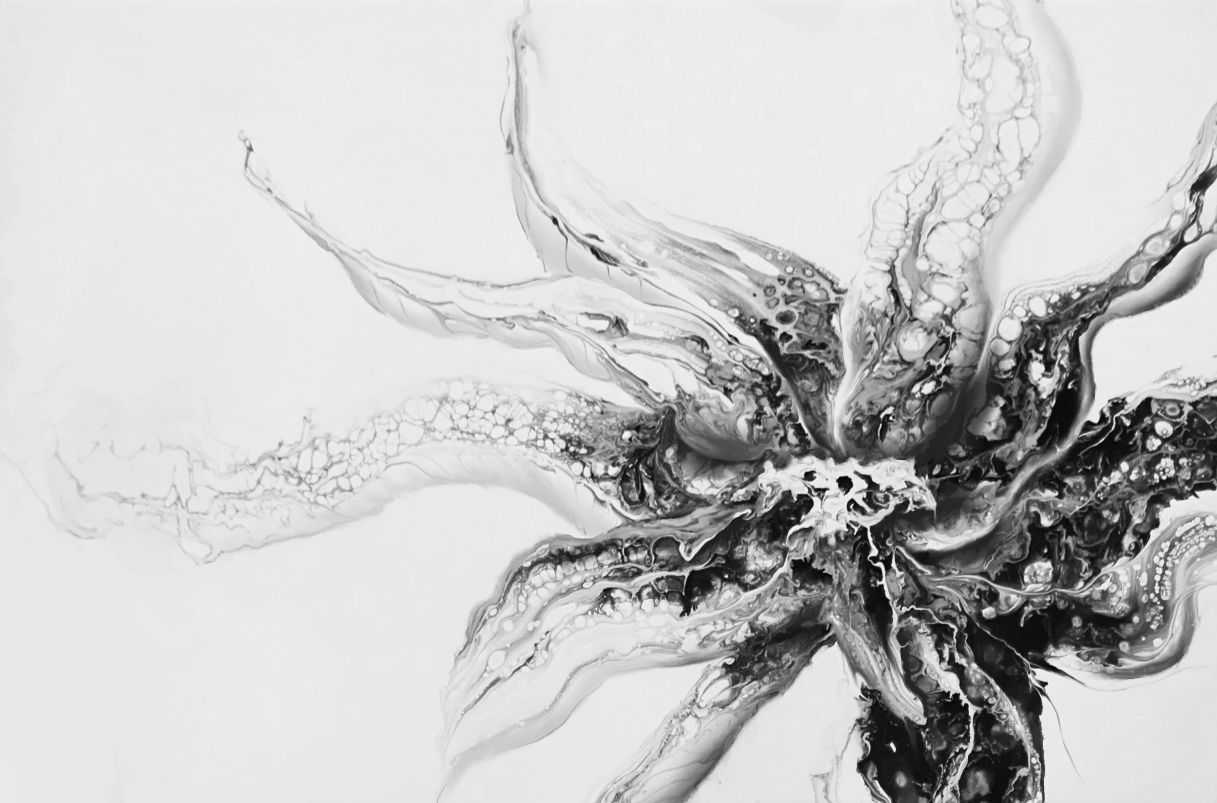 the metamorphosis of aging.JPG