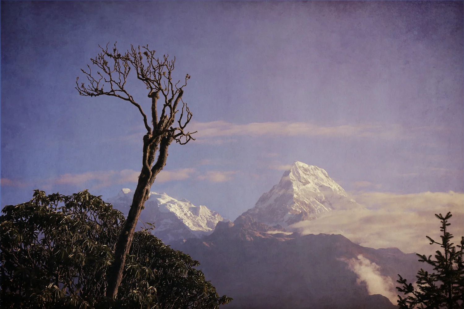 Annapurna II