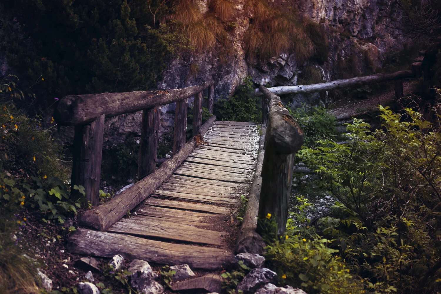 Dolomiti IV