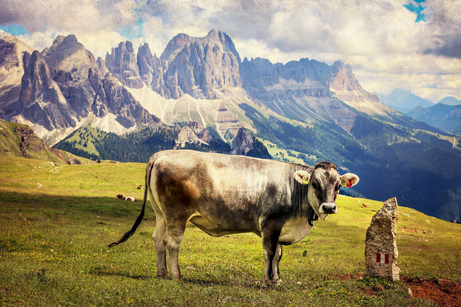 Dolomiti I